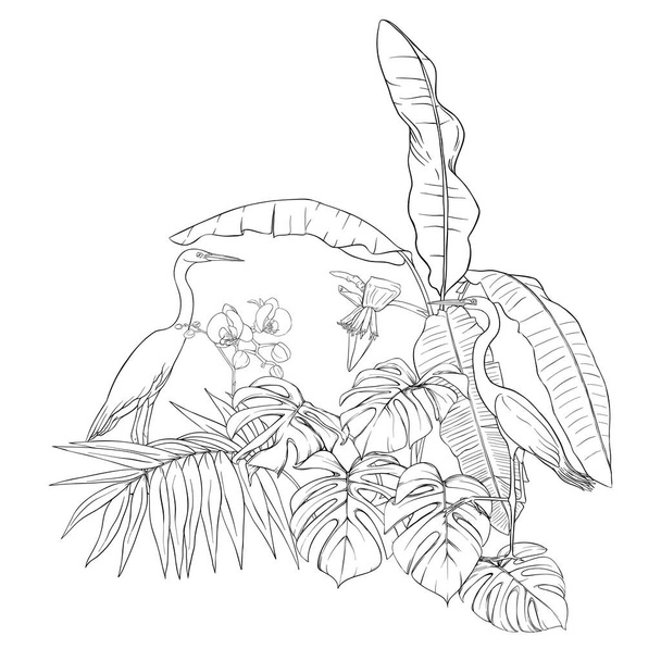 A composition of tropical plants, palm leaves, monsters and white orchids with white heron In botanical style. Outline hand drawing vector illustration. Isolated on white background. - Wektor, obraz