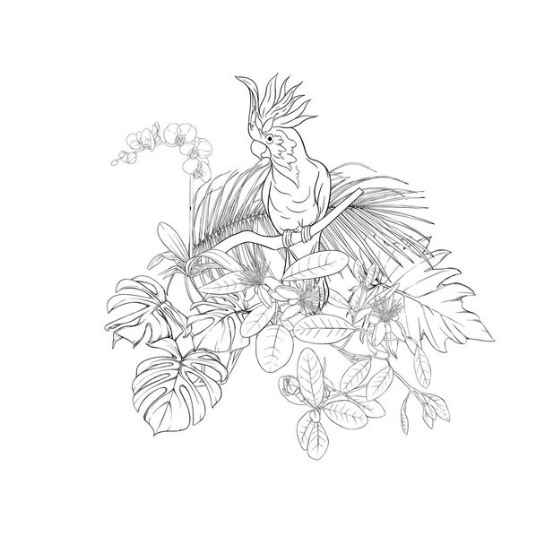 A composition of tropical plants, palm leaves, monsters and white orchids with cockatoo parrot In botanical style. Outline hand drawing vector illustration. Isolated on white background. - Вектор,изображение