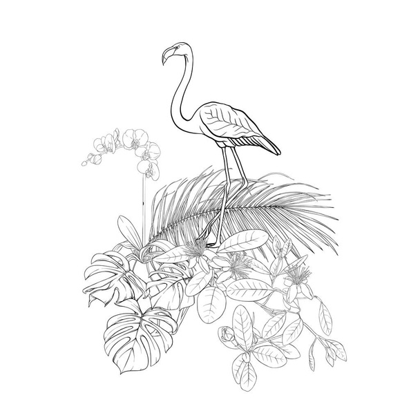 A composition of tropical plants, palm leaves, monsters and white orchids with flamingo In botanical style/ Outline hand drawing vector illustration. Isolated on white background. - Вектор, зображення