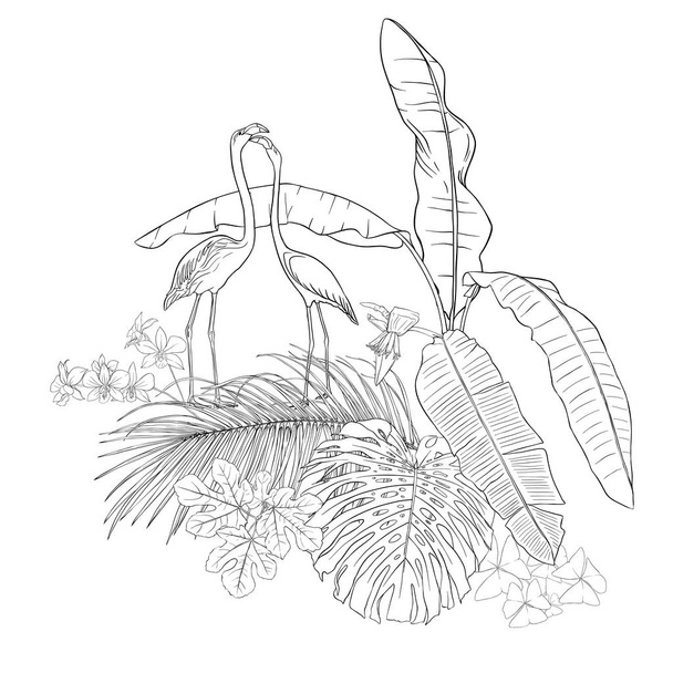A composition of tropical plants, palm leaves, monsters and white orchids with flamingo In botanical style/ Outline hand drawing vector illustration. Isolated on white background. - ベクター画像
