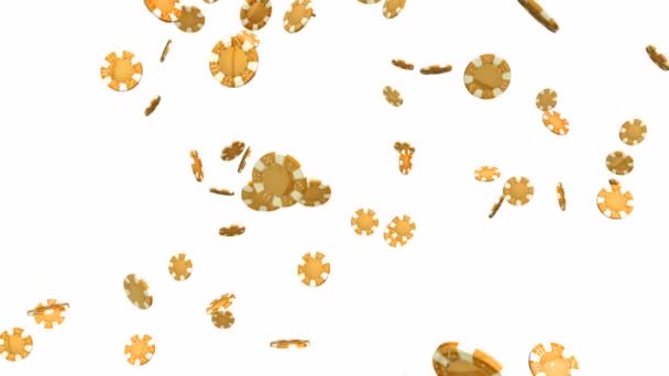 Πτώση χρυσά καζίνο μάρκες σε λευκό φόντο semless βρόχου animation - Πλάνα, βίντεο