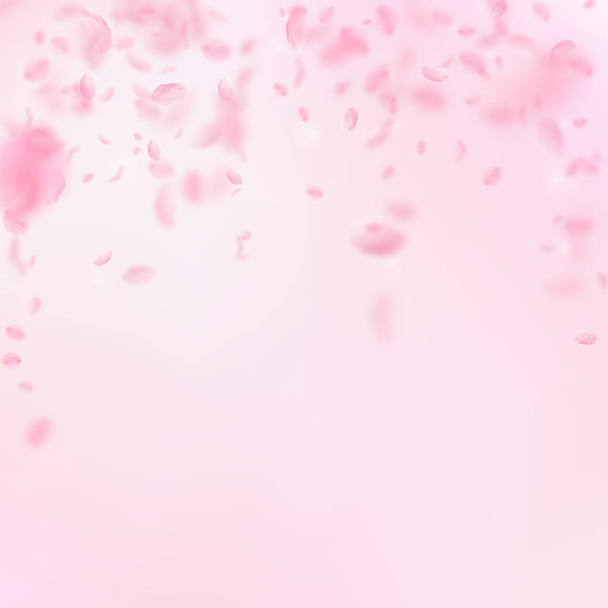 Pétalos Sakura cayendo. Flores rosas románticas  - Vector, Imagen