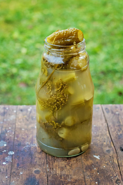 Αγγουράκια τουρσί σπιτικό σε ένα γυάλινο βάζο - Φωτογραφία, εικόνα