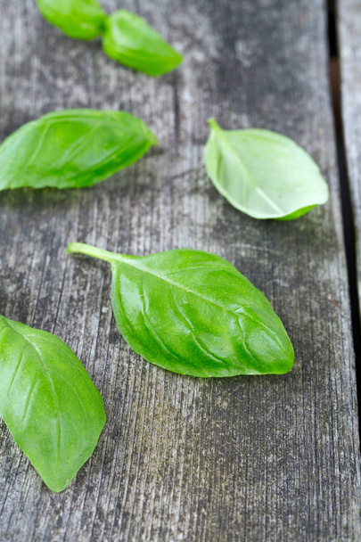 fresh basil leaves on wooden surface - Photo, Image