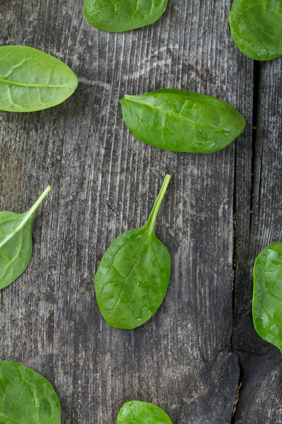 fresh spinach leaves, closeup view - Foto, Imagem