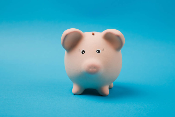 Close up photo of pink piggy money bank isolated on bright blue wall background. Money accumulation, investment, banking or business services, wealth concept. Copy space advertising mock up - Photo, Image