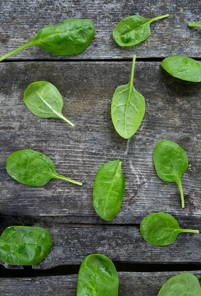 fresh spinach leaves, closeup view - Фото, изображение
