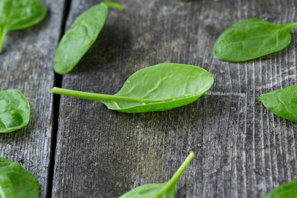 fresh spinach leaves, closeup view - Photo, image