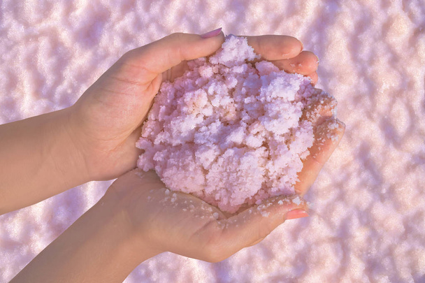 Vaaleanpunainen suola käsissä Sivash järvestä. Kylpylä, lääketieteellinen ihotautitausta
. - Valokuva, kuva
