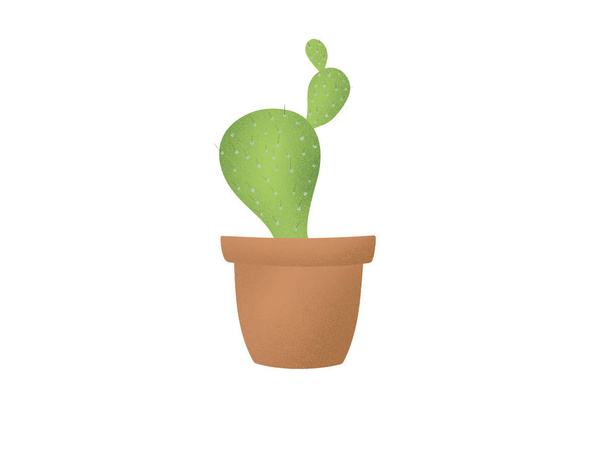 Linda planta de cactus verde en maceta marrón, ilustración dibujada a mano sobre fondo blanco aislado. Icono suculento. Estilo de vida ecológico y concepto de cero residuos
 - Foto, Imagen