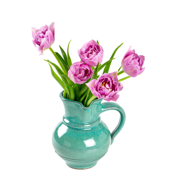 violet tulips isolated on white - Φωτογραφία, εικόνα