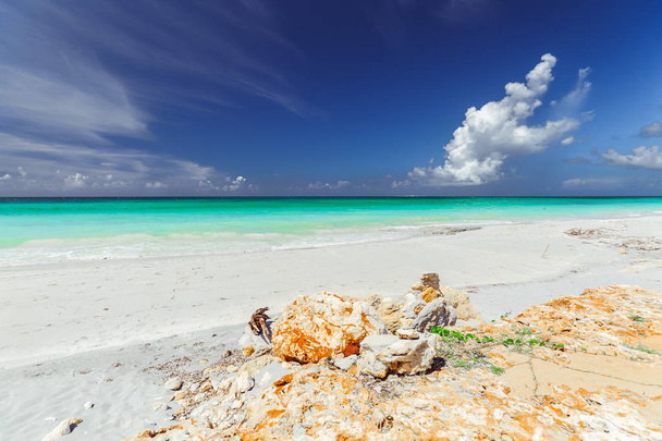 濃い青空背景にバラデロ キューバ ビーチと静かな、ターコイズ ブルーの海の美しい驚くほどすばらしい自然景観ビュー熱帯の晴れた天気の良い日  - 写真・画像