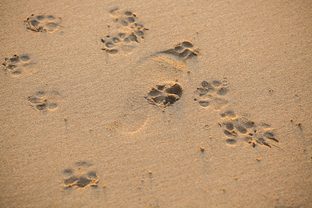 Fußabdrücke im Sand vor Sonnenuntergang am Strand in Thailand. - Foto, Bild