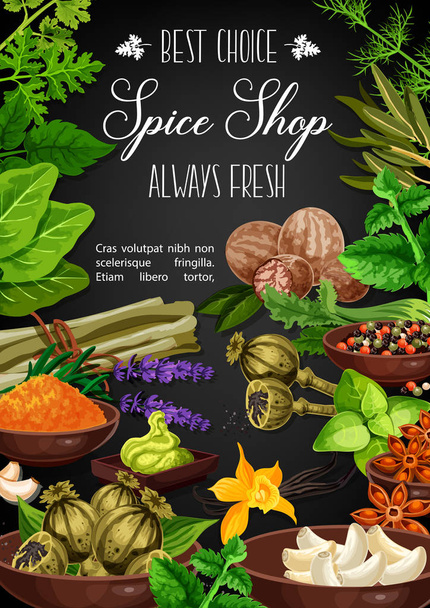 Spices and herbs, culinary herbal seasonings - Vector, Image