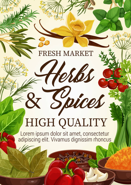 スパイスとハーブの調味料、農産市場 - ベクター画像