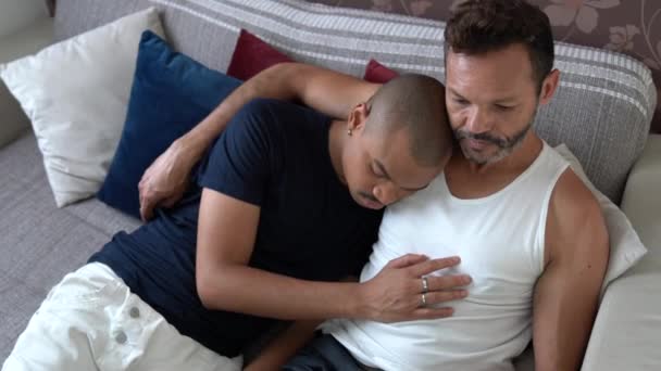 Schwules Paar benutzt Laptop auf Sofa - Filmmaterial, Video