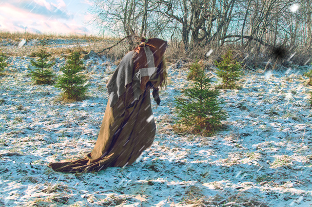 Brokeback bruxa perversa vagueia no inverno através de uma floresta de jovens abetos
 - Foto, Imagem