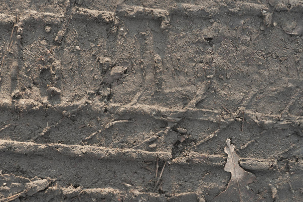 Tires marks on sand background texture macro - 写真・画像