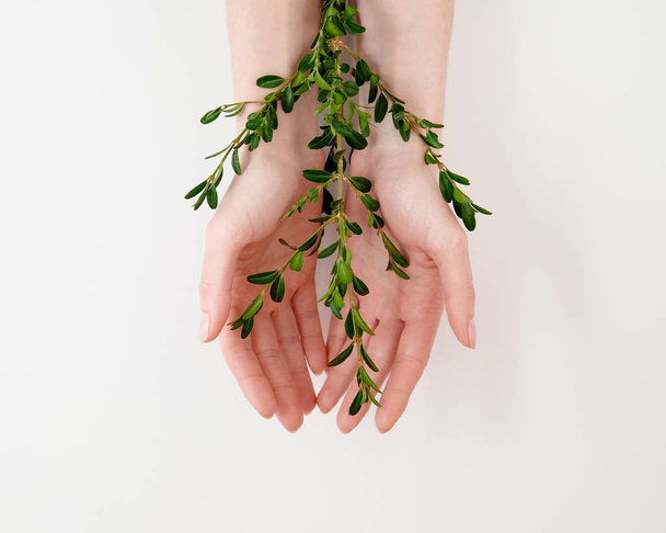 Beautiful groomed woman's palm hands with green leaves on the table. Natural organic cosmetic, skin care beauty, fresh look. The concept of a healthy skin. - Valokuva, kuva