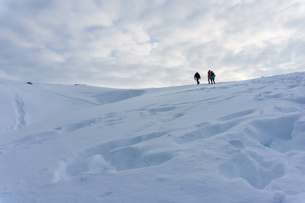 a group of people follow a hill heavily covered with snow during a trip along the polar tundra in winter - 写真・画像
