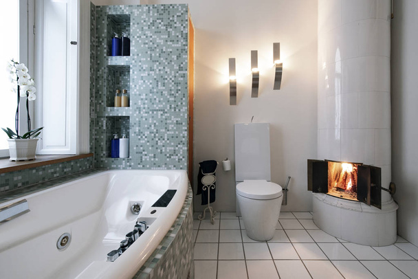 Ванна кімната з каміном в Швеції  - Фото, зображення