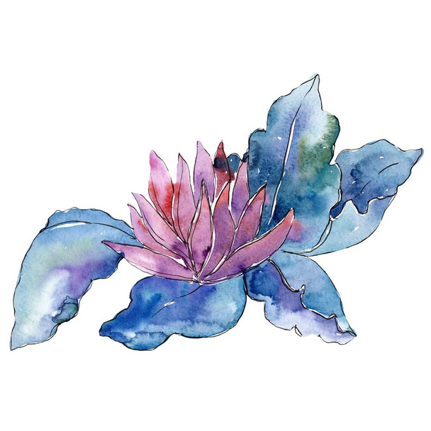 Red flower with blue leaves. Isolated bouquet illustration element. Watercolor background illustration set. - Photo, Image