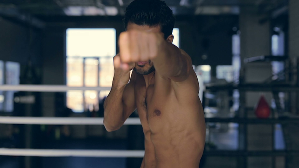 カメラ目線、手袋をせずボクシングのスポーツマンの肖像画. - 映像、動画