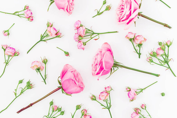 Fleurs roses roses isolées sur fond blanc. Couché à plat, vue de dessus. Texture fleurs. Composition de la Saint Valentin
 - Photo, image