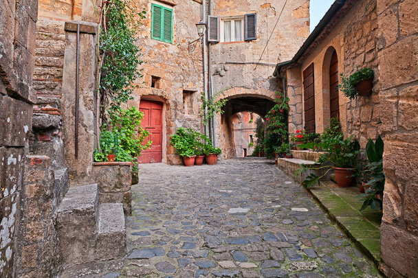 Sorano, Grosseto, Toscana: pittoresco vecchio vicolo con sottopassaggio, antiche case, piante e fiori nel borgo medievale
 - Foto, immagini
