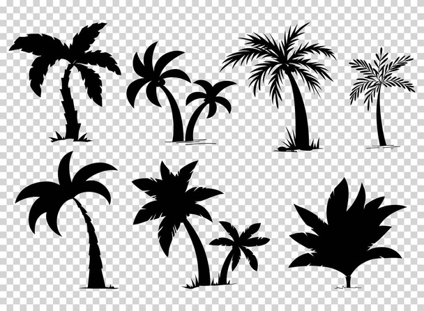 tropikal palmiye ağaçları ile yaprakları, olgun ve genç bitkiler, izole beyaz zemin üzerine siyah siluetler ayarlayın. vektör. - Vektör, Görsel