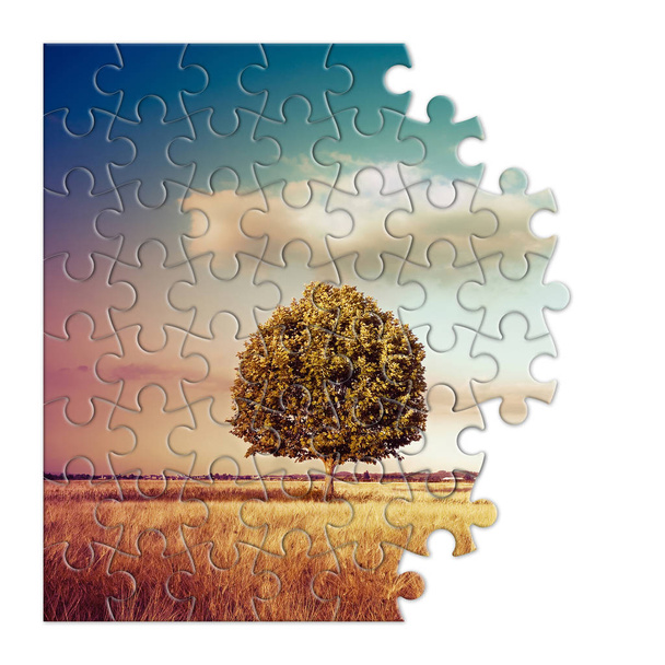 Geïsoleerde boom in een Toscane landelijke scène (Italië) - milieubehoud concept afbeelding in jigsaw puzzle shap - Foto, afbeelding