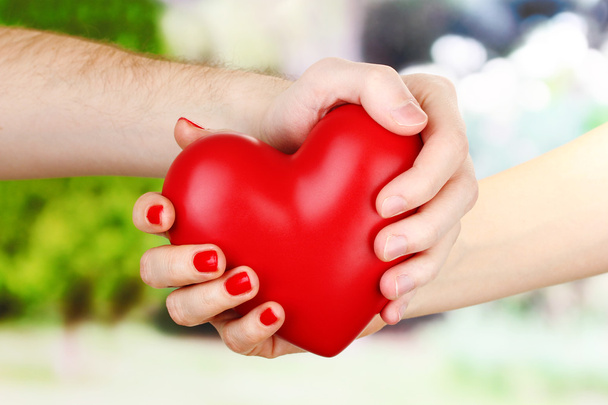 rotes Herz in Frauen- und Männerhänden, auf grünem Hintergrund - Foto, Bild