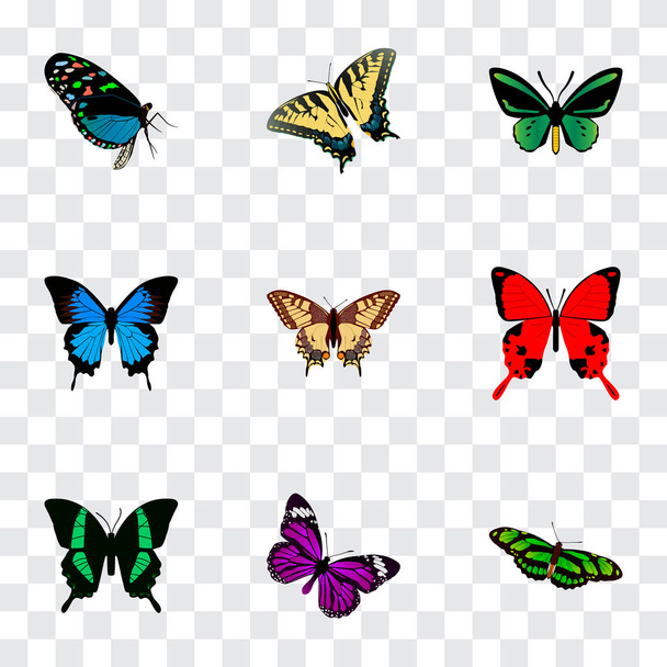 Set von realistischen Schmetterlingssymbolen mit Schönheitsfliege, Polyommatus icarus, Checkerspot und anderen Symbolen für das Design Ihres mobilen App-Logos. - Foto, Bild