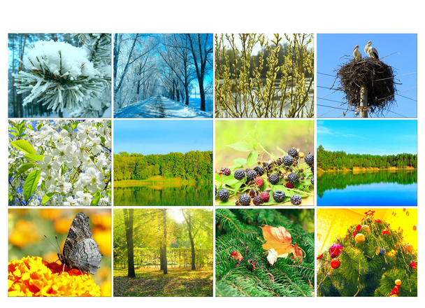 En blanco con diferentes doce imágenes de color de la naturaleza para el calendario. Foto lista para el calendario. Fotos para el calendario anual. Placard para oficina
 - Foto, Imagen