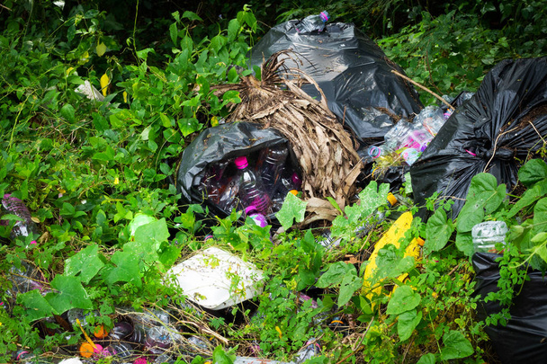 выброшенный пластик в лесу это стихийное бедствие
 - Фото, изображение
