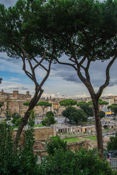 Rome, Italy: cityscape with pines  - Φωτογραφία, εικόνα