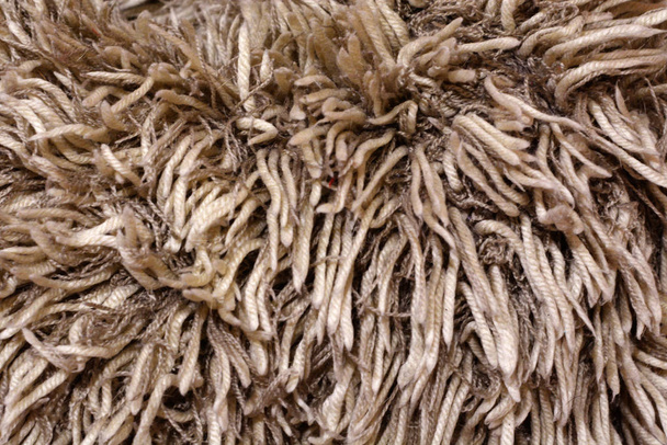 beige long carpet pile - Photo, Image