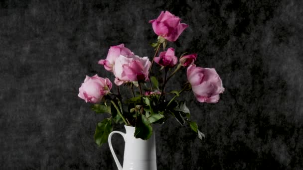 bouquet de roses dans un pot blanc
 - Séquence, vidéo