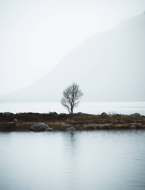 Nature at The Andoya Island in North Norway - Fotoğraf, Görsel