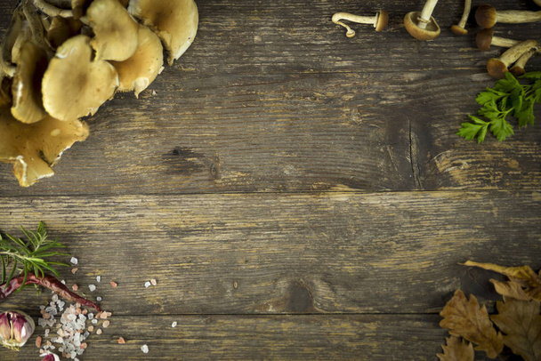 setas recogidas en el bosque de álamos sobre mesa de madera y otros ingredientes
 - Foto, Imagen