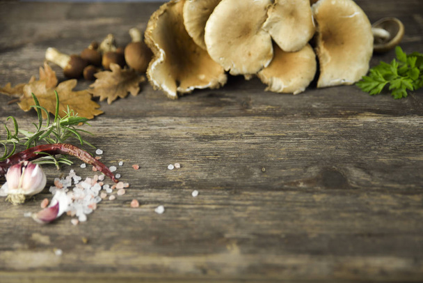 Pilze im Pappelwald auf Holztisch und anderen Zutaten gesammelt - Foto, Bild