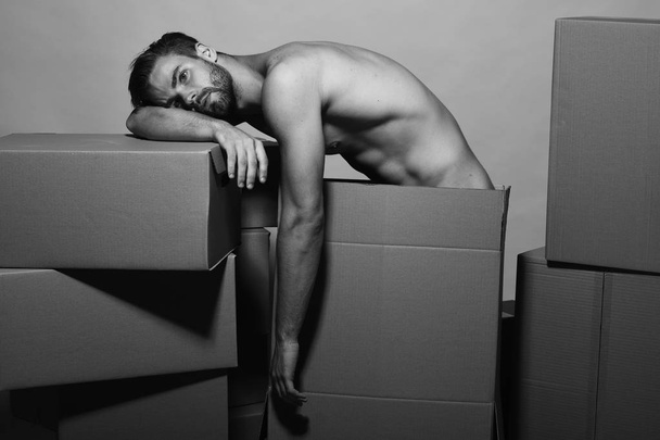 Macho with tired leans on boxes, copy space. - Foto, imagen