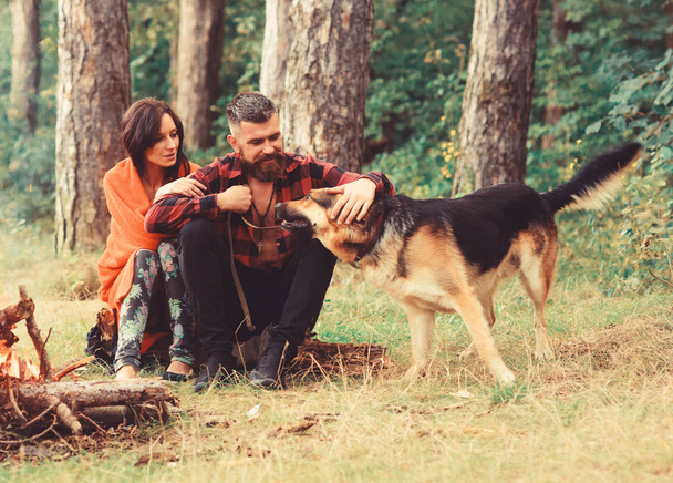 Couple with german shepherd dog sit near bonfire, forest background. - Foto, immagini