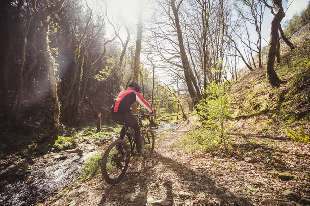 Widok z tyłu z rowerzysta jazda przez strumień w lesie - Zdjęcie, obraz