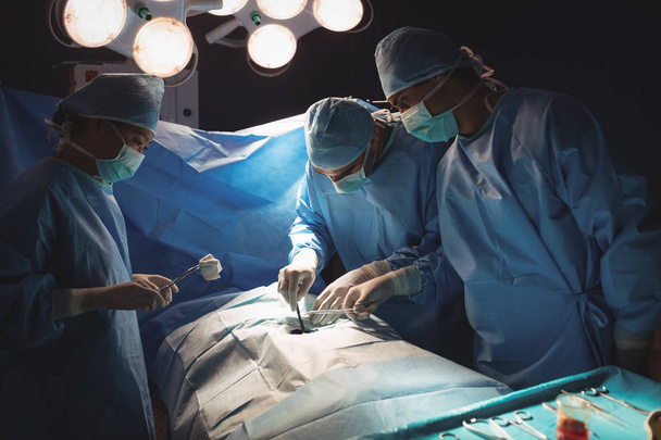 Équipe de chirurgiens effectuant une opération en salle d'opération à l'hôpital
 - Photo, image