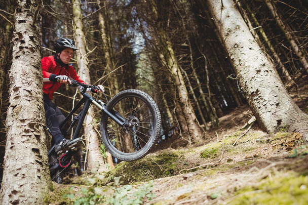 Low angle view of mountain biker jumping with bicycle in woodland - Photo, Image