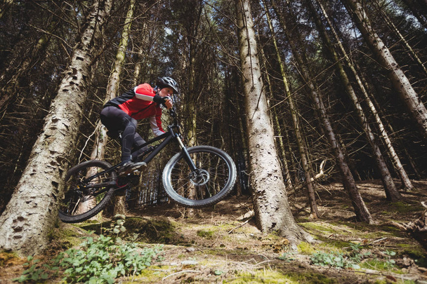 Mountain biker jumping with bicycle in woodland - Photo, Image