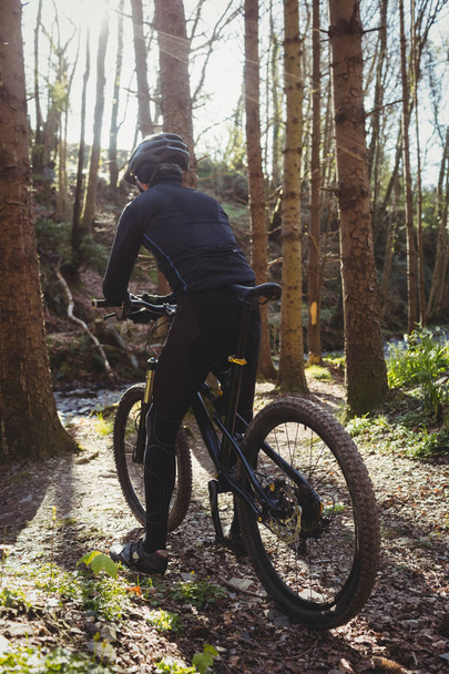 Rear view of mountain biker riding bicycle in forest - Photo, Image
