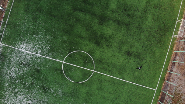 Tiro aéreo de campo de futebol amador. Filmagem 4k - Filmagem, Vídeo
