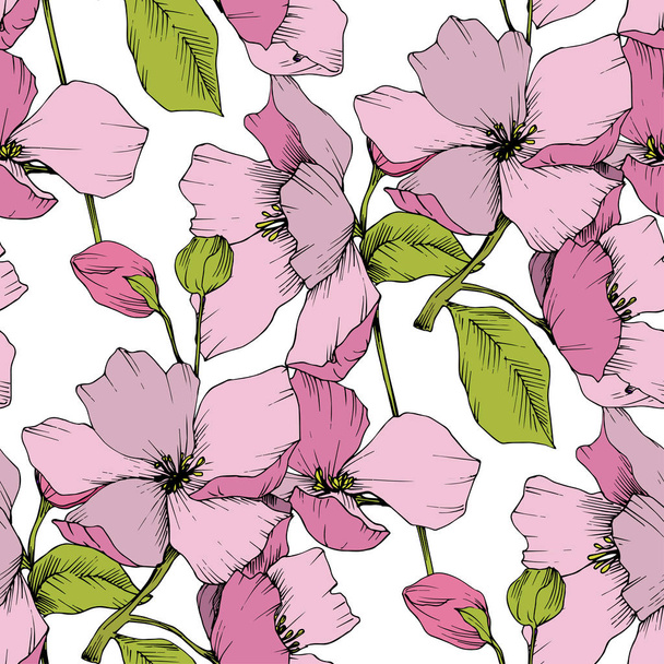 Vector. Appe blossom flowers. Engraved ink art. Seamless backgro - Vettoriali, immagini